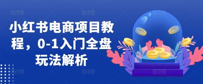 小红书电商项目教程，0-1入门全盘玩法解析|无忧资源社