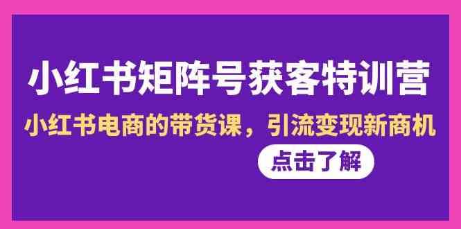小红书矩阵号获客特训营-第10期，小红书电商的带货课，引流变现新商机|无忧资源社
