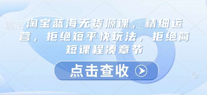 淘宝蓝海无货源课，精细运营，拒绝短平快玩法，拒绝简短课程凑章节|无忧资源社