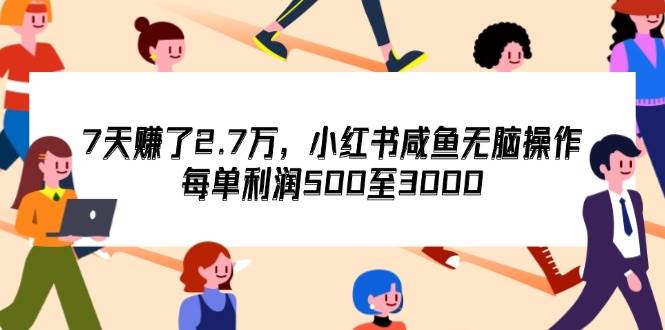 （12192期）7天收了2.7万，小红书咸鱼无脑操作，每单利润500至3000|无忧资源社
