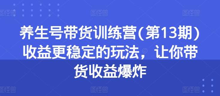 养生号带货训练营(第13期)收益更稳定的玩法，让你带货收益爆炸|无忧资源社