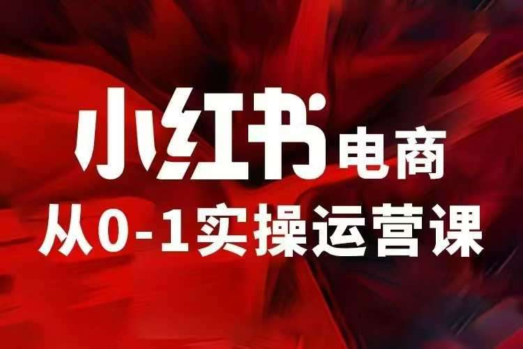 小红书电商运营，97节小红书vip内部课，带你实现小红书赚钱|无忧资源社