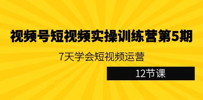 （9029期）视频号短视频实操训练营第5期：7天学会短视频运营（12节课）|无忧资源社