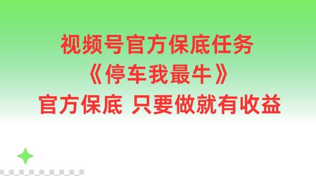 视频号官方保底任务，停车我最牛，官方保底只要做就有收益【揭秘】|无忧资源社