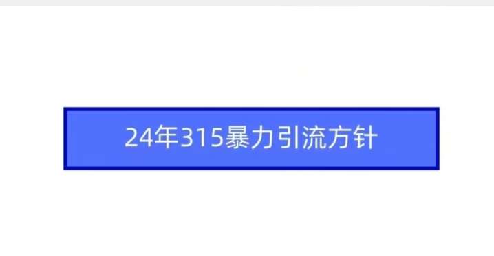 24年315暴力引流方针|无忧资源社