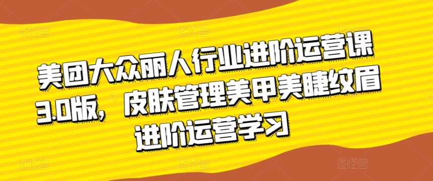 美团大众丽人行业进阶运营课3.0版，皮肤管理美甲美睫纹眉进阶运营学习|无忧资源社