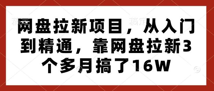 网盘拉新项目，从入门到精通，靠网盘拉新3个多月搞了16W|无忧资源社