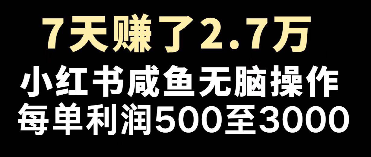 （14183期）最赚钱项目之一，2025爆火，逆风翻盘！|无忧资源社