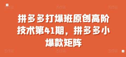 拼多多打爆班原创高阶技术第41期，拼多多小爆款矩阵|无忧资源社