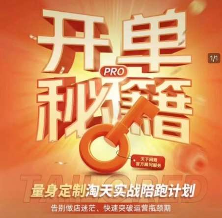 淘宝开单秘籍PRO，量身定制淘天实战陪跑计划，告别做店迷茫、快速突破运营瓶颈期|无忧资源社