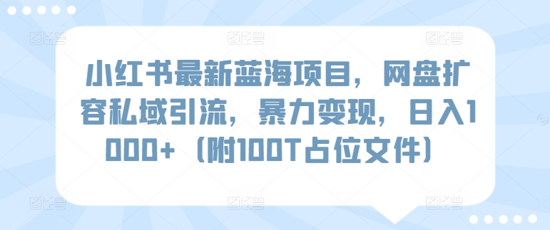 小红书最新蓝海项目，网盘扩容私域引流，暴力变现，日入1000+（附100T占位文件）【揭秘】|无忧资源社