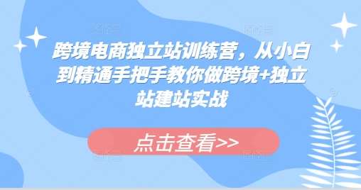 跨境电商独立站训练营，从小白到精通手把手教你做跨境+独立站建站实战|无忧资源社