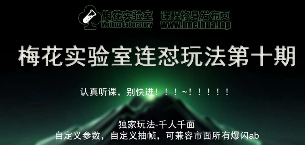 梅花实验室社群专享课视频号连怼玩法第十期课程+第二部分-FF助手全新高自由万能爆闪AB处理|无忧资源社