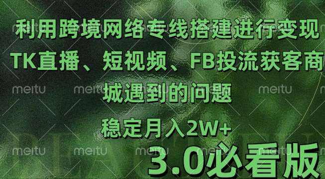 利用跨境电商网络及搭建TK直播、短视频、FB投流获客以及商城遇到的问题进行变现3.0必看版【揭秘】|无忧资源社