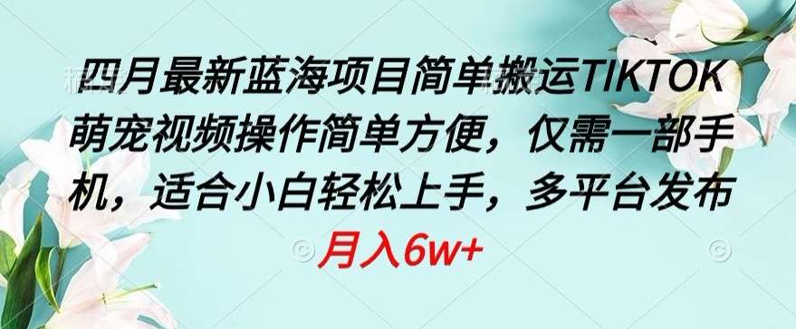 四月最新蓝海项目，简单搬运TIKTOK萌宠视频，操作简单方便，仅需一部手机【揭秘】|无忧资源社