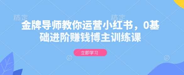 金牌导师教你运营小红书，0基础进阶赚钱博主训练课|无忧资源社