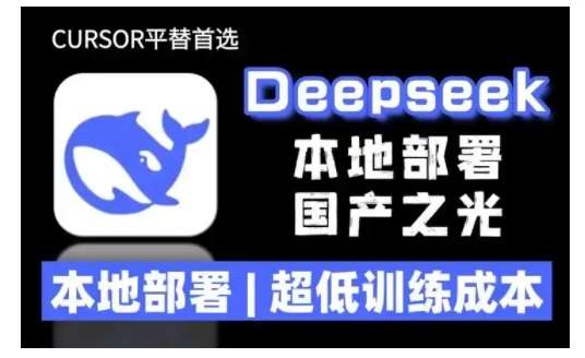 2025年deepseek R1 大型模型本地安装部署(文件+教程)本地部署，超低训练成本|无忧资源社