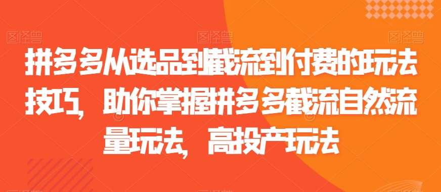 拼多多从选品到截流到付费的玩法技巧，助你掌握拼多多截流自然流量玩法，高投产玩法|无忧资源社