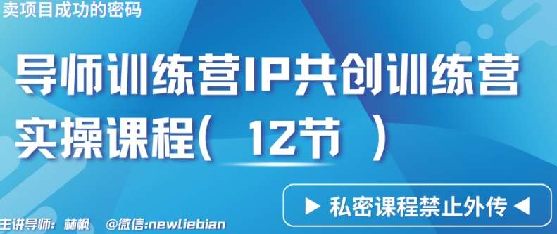 导师训练营3.0IP共创训练营私密实操课程（12节）-卖项目的密码成功秘诀【揭秘】|无忧资源社