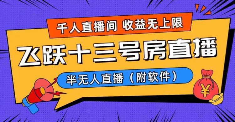 （8711期）爆火飞跃十三号房半无人直播，一场直播上千人，日入过万！（附软件）|无忧资源社