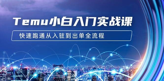 （9295期）Temu小白入门实战课：跨境拼多多电商培训 快速跑通从入驻到出单全流程-12节|无忧资源社