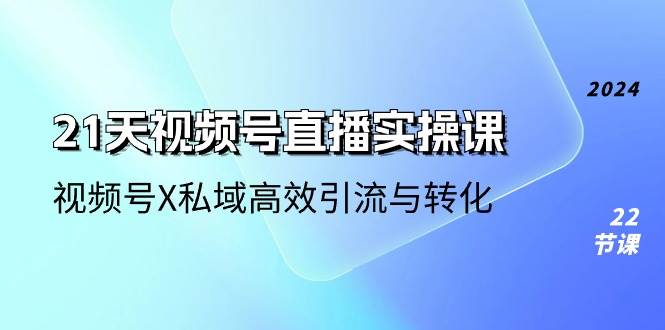 （10966期）21天-视频号直播实操课，视频号X私域高效引流与转化（22节课）|无忧资源社
