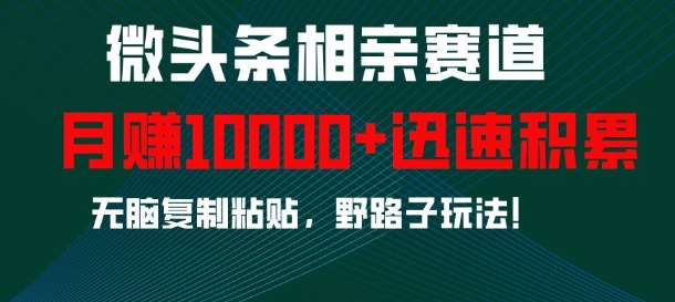 微头条相亲赛道，迅速积累，无脑复制粘贴，野路子玩法，月入1w|无忧资源社