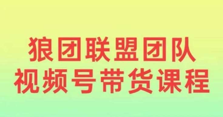 狼团联盟2024视频号带货，0基础小白快速入局视频号|无忧资源社
