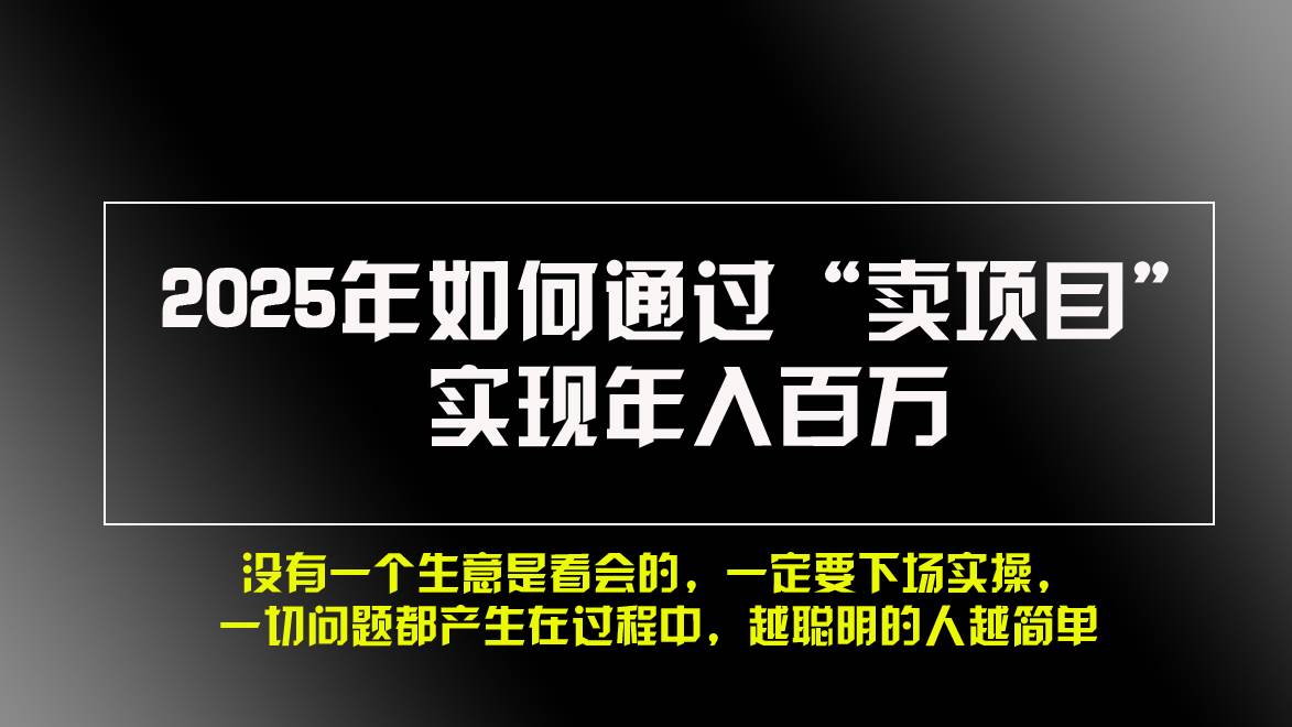 （13468期）2025年如何通过“卖项目”实现年入百万，做网赚必看！！|无忧资源社