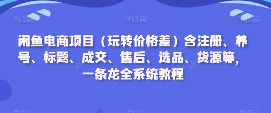 闲鱼电商项目（玩转价格差）含注册、养号、标题、成交、售后、选品、货源等，一条龙全系统教程|无忧资源社