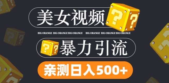 搬运tk美女视频全网分发，日引s粉300+，轻松变现，不限流量不封号【揭秘】|无忧资源社