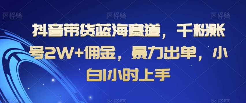抖音带货蓝海赛道，千粉账号2W+佣金，暴力出单，小白1小时上手【揭秘】|无忧资源社