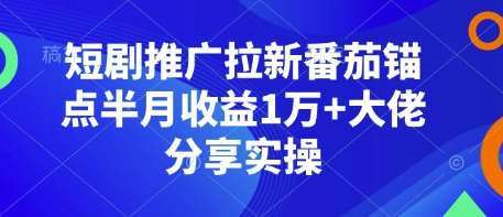 短剧推广拉新番茄锚点半月收益1万+大佬分享实操|无忧资源社