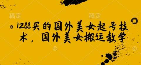 1288买的国外美女起号技术，国外美女搬运教学|无忧资源社
