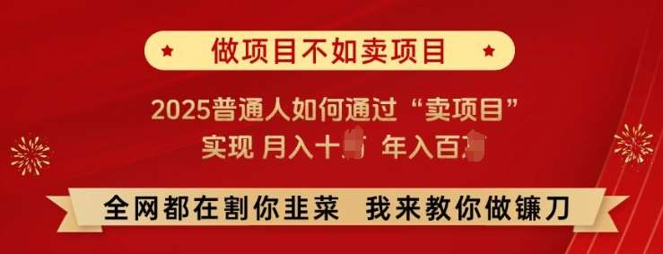 必看!做项目不如卖项目，2025普通人如何通过“卖项目”实现月入十个，年入百个【揭秘】|无忧资源社