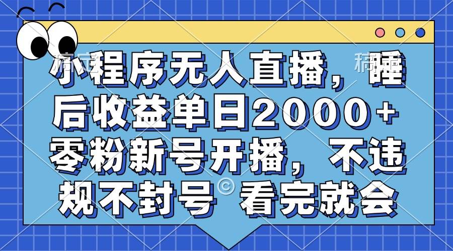 （13251期）小程序无人直播，睡后收益单日2000+ 零粉新号开播，不违规不封号 看完就会|无忧资源社