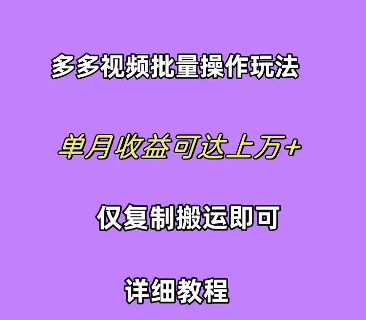 （10029期）拼多多视频带货快速过爆款选品教程 每天轻轻松松赚取三位数佣金 小白必…|无忧资源社