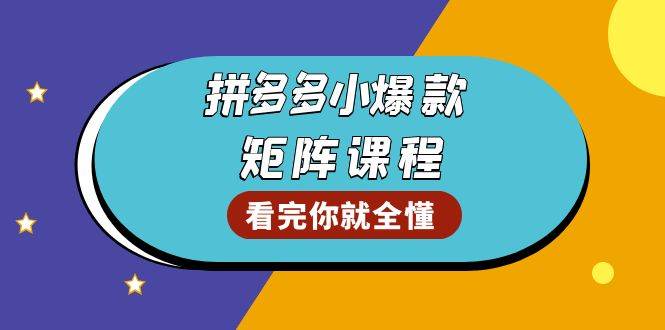 （13699期）拼多多爆款矩阵课程：教你测出店铺爆款，优化销量，提升GMV，打造爆款群|无忧资源社