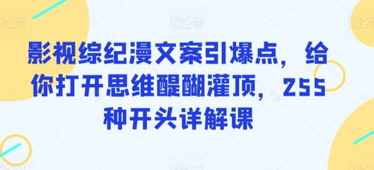 影视综纪漫文案引爆点，给你打开思维醍醐灌顶，255种开头详解课|无忧资源社