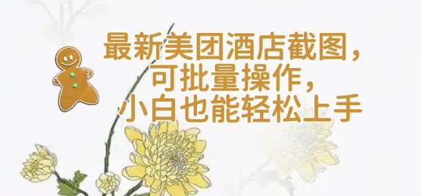 【轻云】最新美团酒店截图，可批量操作，小白也能轻松上手|无忧资源社