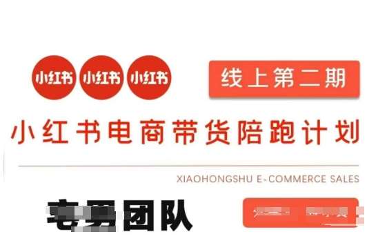 小红书电商带货课2期，月利润20个的小红书电商的有货源，无货源，虚拟产品，付费投流等整套玩法|无忧资源社