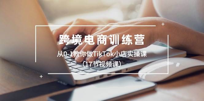 （10946期）跨境电商训练营：从0-1教你做TikTok小店实操课（17节视频课）|无忧资源社