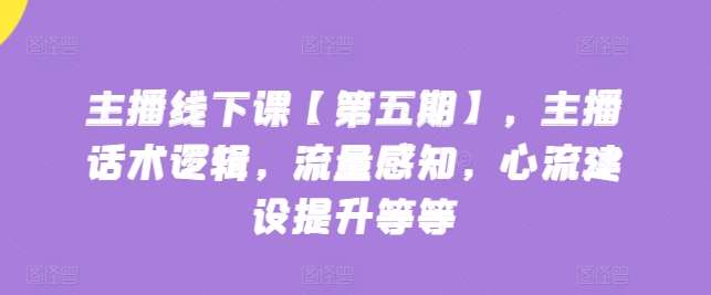 主播线下课【第五期】，主播话术逻辑，流量感知，心流建设提升等等|无忧资源社