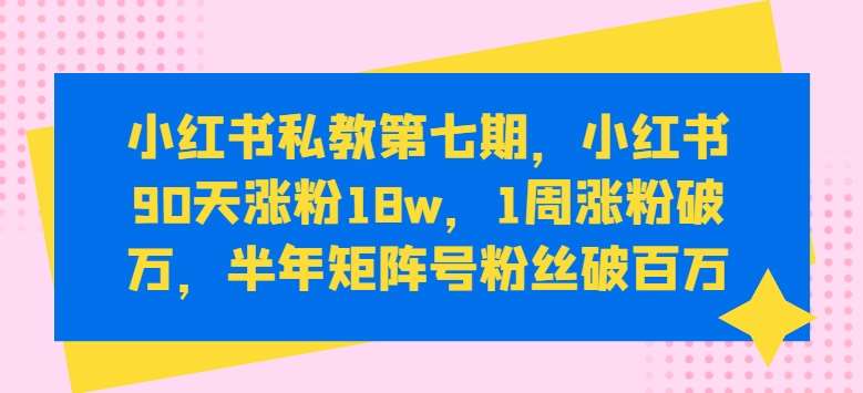小红书私教第七期，小红书90天涨粉18w，1周涨粉破万，半年矩阵号粉丝破百万|无忧资源社