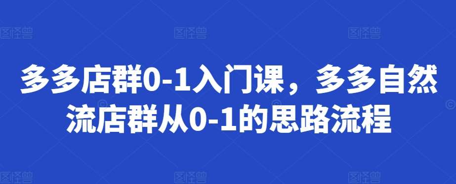 多多店群0-1入门课，多多自然流店群从0-1的思路流程|无忧资源社