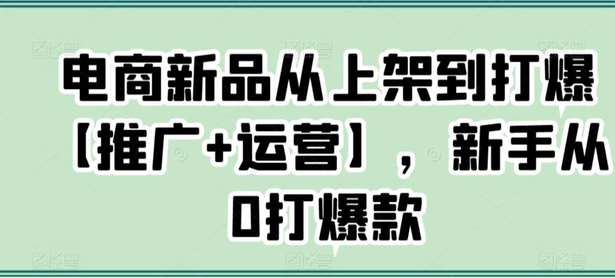 电商新品从上架到打爆【推广+运营】，新手从0打爆款|无忧资源社