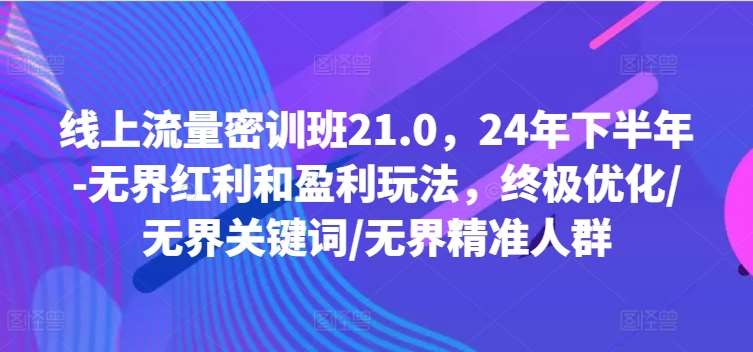 线上流量密训班21.0，24年下半年-无界红利和盈利玩法，终极优化/无界关键词/无界精准人群|无忧资源社