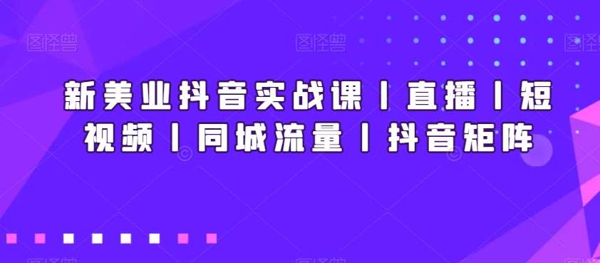 新美业抖音实战课丨直播丨短视频丨同城流量丨抖音矩阵|无忧资源社