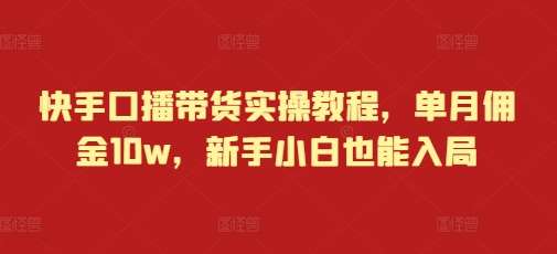 快手口播带货实操教程，单月佣金10w，新手小白也能入局|无忧资源社