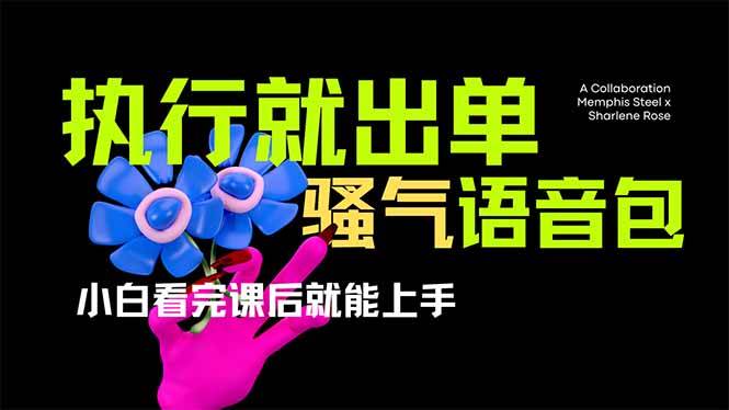 （14170期）爆火全网的开车导航骚气语音包,只要执行就出单，小白看完课程就能实操…|无忧资源社